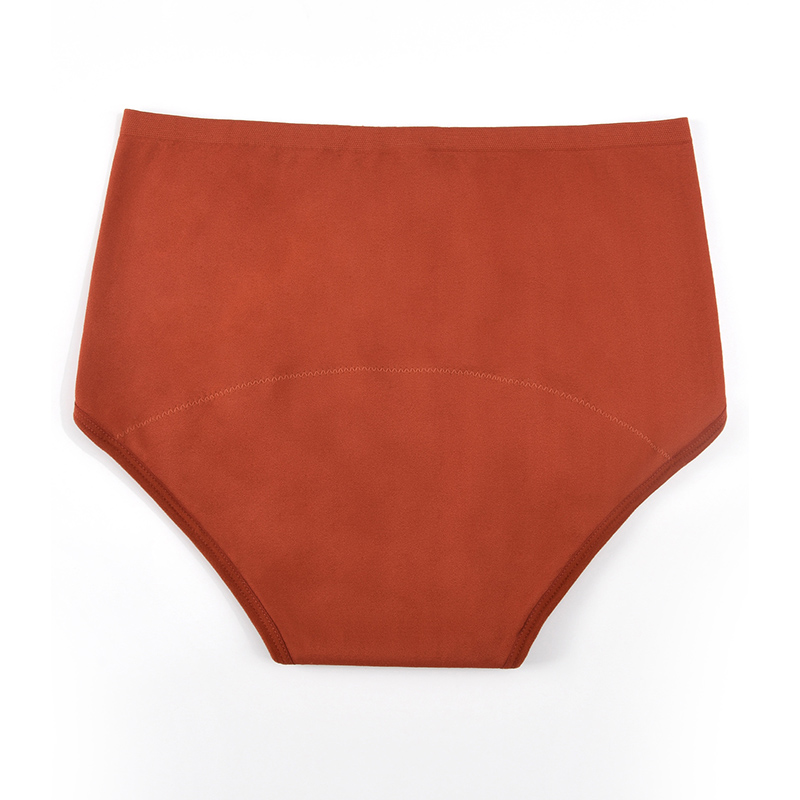 Braguitas menstruales sin cost - Period Panty Absorbent reseña y precio